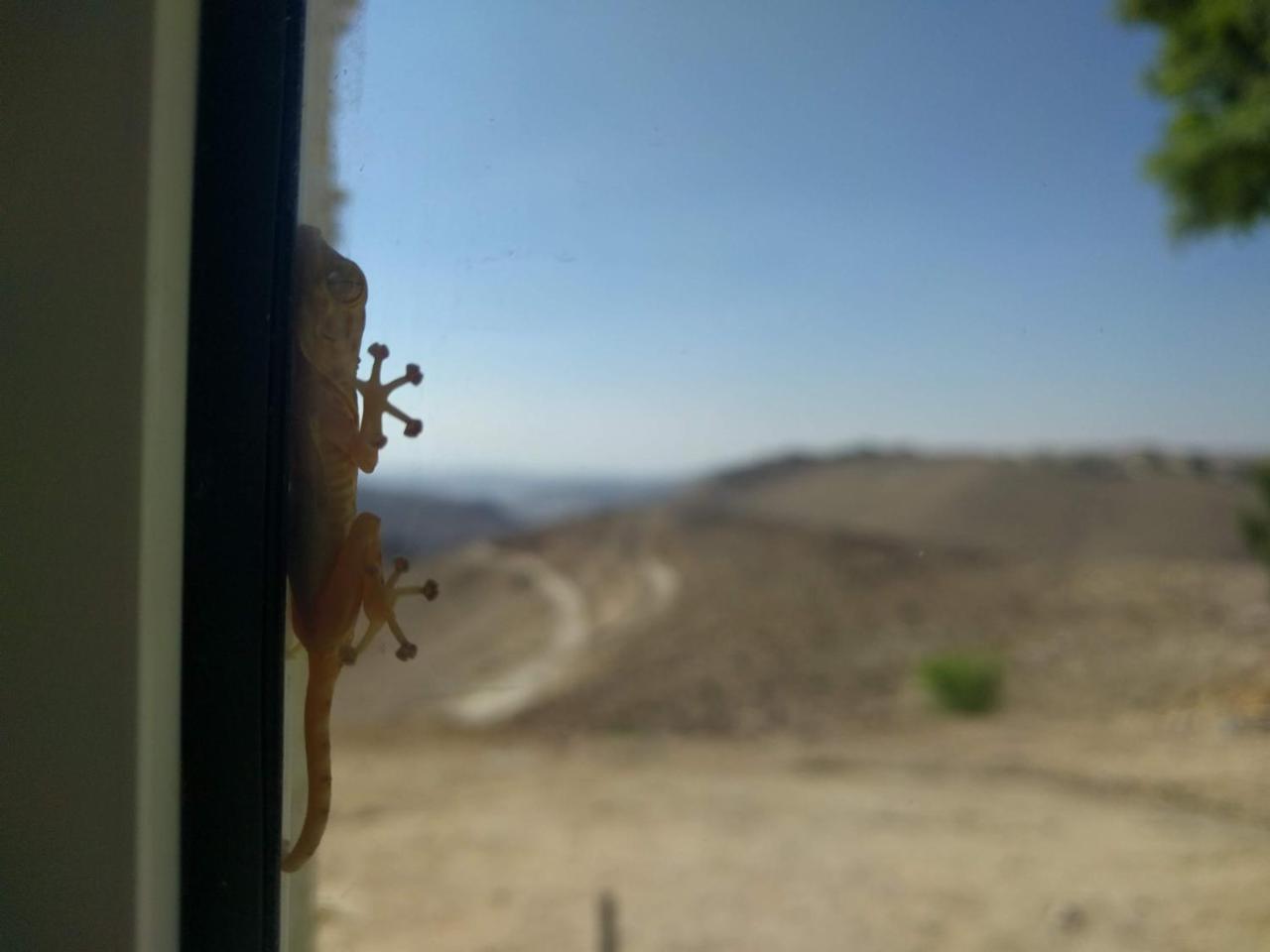 Dead Sea Desert'S Edge Arad Zewnętrze zdjęcie